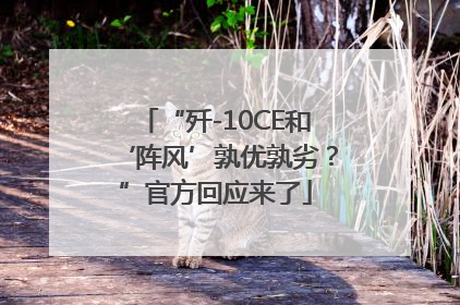 “歼-10CE和‘阵风’孰优孰劣？”官方回应来了